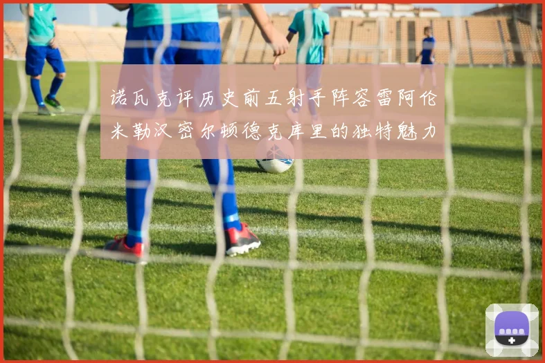 诺瓦克评历史前五射手阵容雷阿伦米勒汉密尔顿德克库里的独特魅力与影响