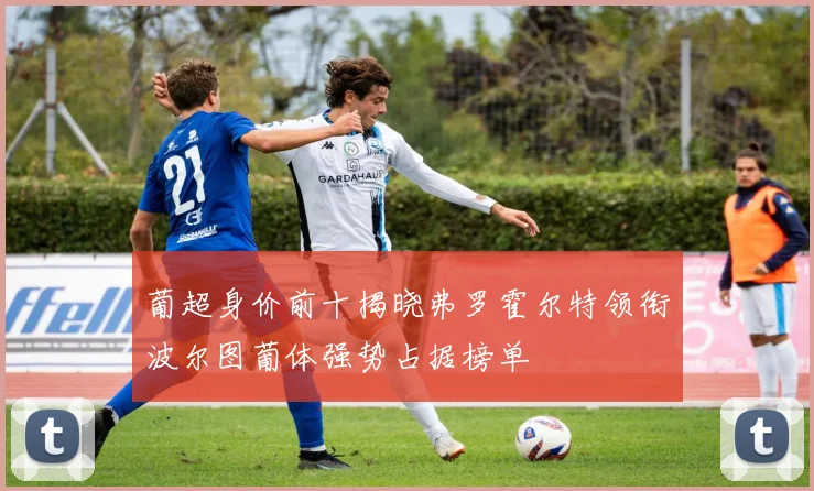 葡超身价前十揭晓弗罗霍尔特领衔波尔图葡体强势占据榜单